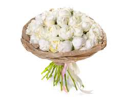 35 белых пионов