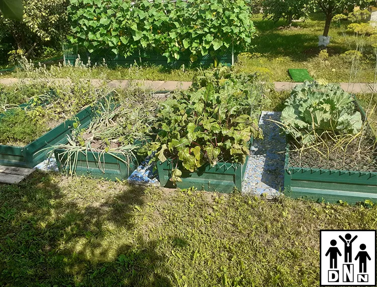 Дорожки для грядок между грядка