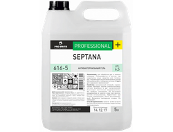 Антибактериальный гель Septana. 5 л, 616-5