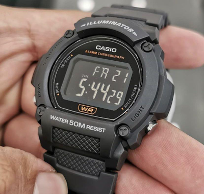 Часы Casio W-219H-8B