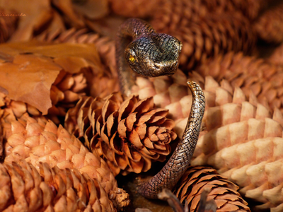 Волшебный браслет "Золотая Радужная Змейка"