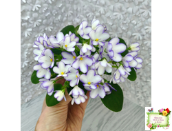 2А-Проба Пера (Е. Кольцова) 2024 г.