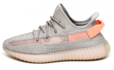 Adidas Yeezy Boost 350 v2 True Form (Серые)