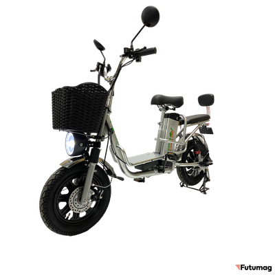 Электровелосипед GreenCamel Транк Монстр PRO (R16FAT 800W 60V20Ah) гидравл. тормоз