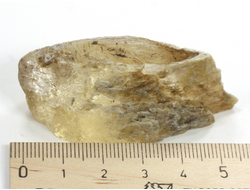 Гипс, кристалл, Россия, Ставропольский край (56*25*23 мм, 32 г) №29491