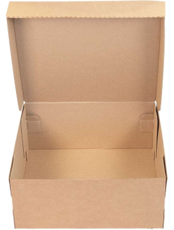 Короб самосборный, обувной 320х300х140 мм.