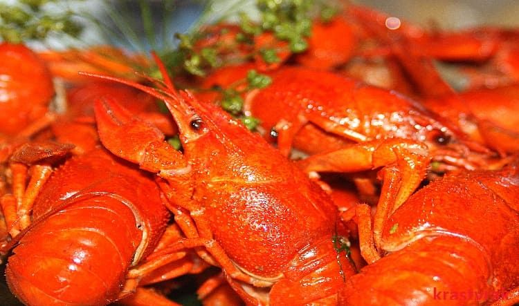 Вареные раки в качестве блюда