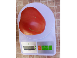 Томат Фиделио