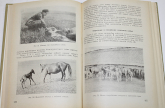 Коневодство. Под редакцией А. С. Красникова. М.: Колос. 1973г.