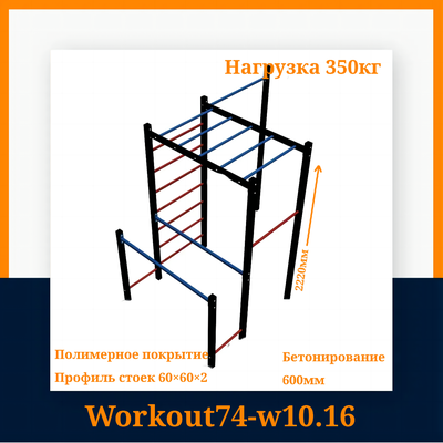 Спортивная площадка Workout W10.16 +гнездо