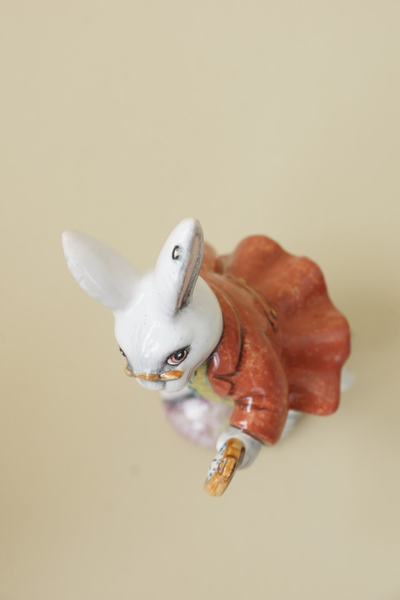 Белый кролик