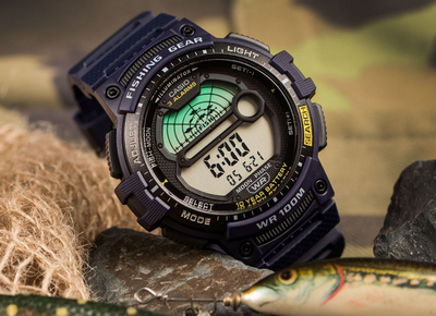 Часы Casio WS-1200H-2A