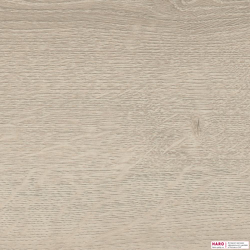 Декор ламината Haro Daily Edition Дуб Бреда Светло-серый 541339 структура