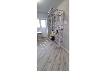 ДСК-6.01.С "РОКИ С РУКОХОДОМ" (ДЕР. СЕТКА), цвет металла белый, ступени серые