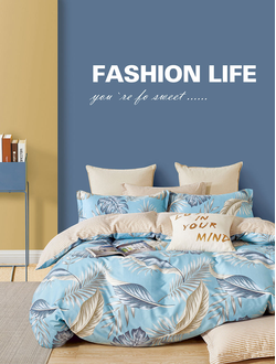 Постельное белье TANGO Twill сатин евро 200x220x1 230x250x1 50x70x2 70x70x2 TPIG6-1723