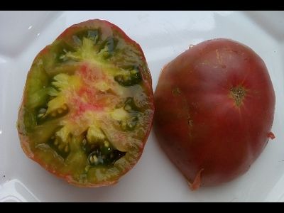 Томат Бунте Пфлауме (Красочная слива, Bunte Pflaume)