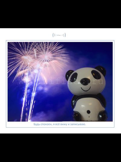 Видеоняня Panda WiFi-LAN видеокамера с DVR , HD (MIPC)