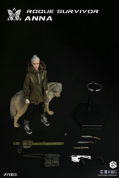 Бродяга Анна - Коллекционная ФИГУРКА 1/6 Rogue Survivor Anna (27003) - CBI x Easy&Simple