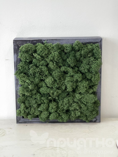 ЖИВАЯ ЭКО-КАРТИНА 1065