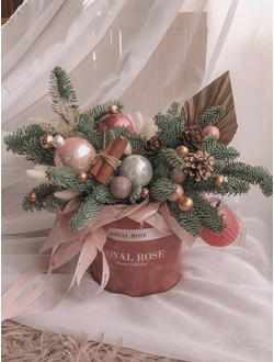 Композиция с елью в бархатной коробке