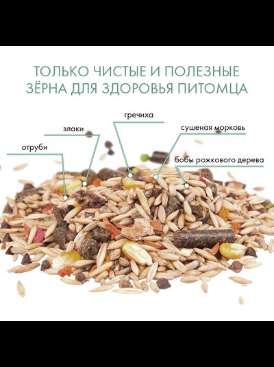 Fiory (Фиори) Classic для морских свинок и шиншилл 680 г