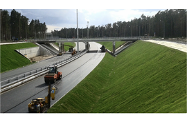 Дорожный газон