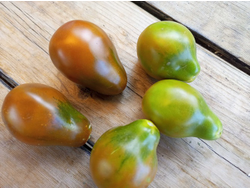 Томат Имбирный Пряник (Gingerbread, Греция)