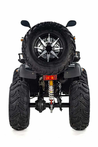 Купить Квадроцикл Raptor Max Pro 300cc (4 1)