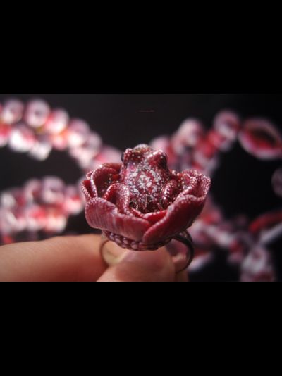 Парадное кольцо &quot;Дикий сербарин и лягушка&quot;