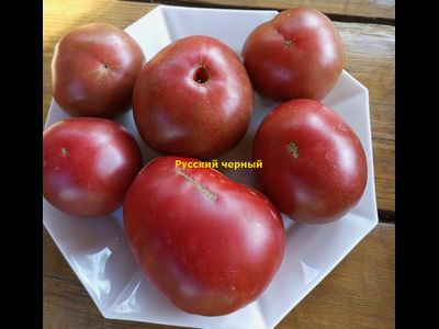 Томат Русский черный (Russian black)