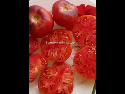 Томат Дорога Скотдейл  (Scotsdale Road)