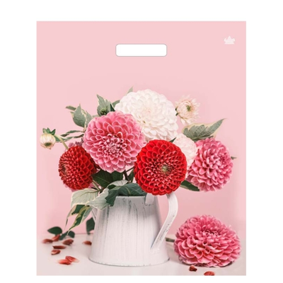 Розовые георгины