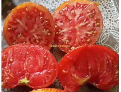 Томат Фейерверк