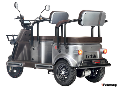 Электротрицикл Wanshida U1-X 60V 800Вт серый