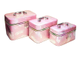 Набор Шкатулок для хранения косметики, 3шт, Цвет Розовый, Голубой, Серебро