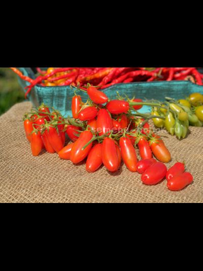 Томат Flaschentomaten (Фляшентомат), 10 шт