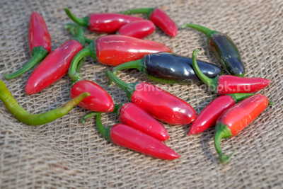 Перец острый Jalapeno Moriachi (Халапеньо Мориачи), 10 шт