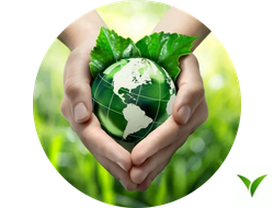 Препараты от солнечных лучей и заморозков