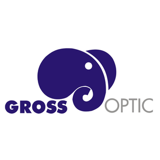 Очковые линзы Grossoptic