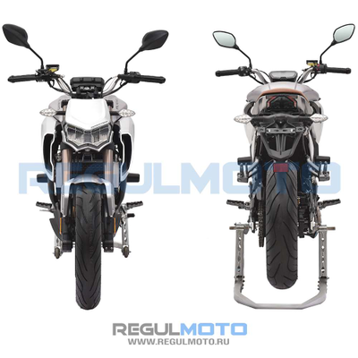 Regulmoto ALIEN MONSTER 300