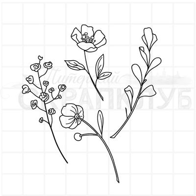 штамп веточки с цветами