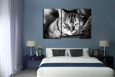 Модульная картина "Кошачье блаженство"