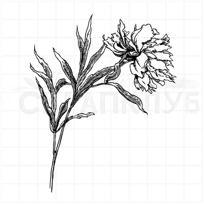 ФП штамп "Пион винтажный"