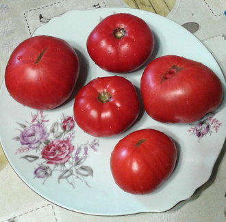 Семена томата Замок Шартр