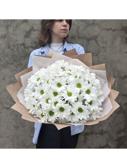 Хризантема белая бакарди