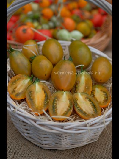 Томат Dwarf Laura’s Bounty (Лаура Баунти), 10 шт