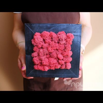 ЖИВАЯ ЭКО-КАРТИНА 1089