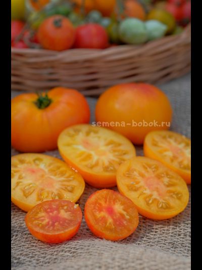 Томат Dwarf Lucky Swirl (Гном Завиток Удачи), 10 шт