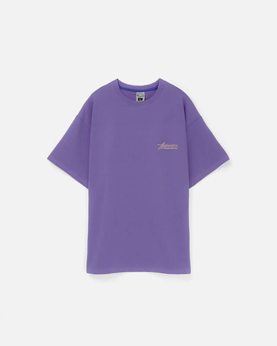 Футболка Anteater Phat Tee 476 Фиолетовая