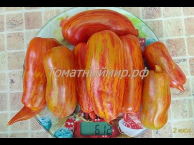 Томат Банан пестрый